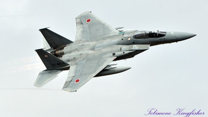 Nyuta Air FES 2019（6）　～305SQ F-15J 機動飛行～