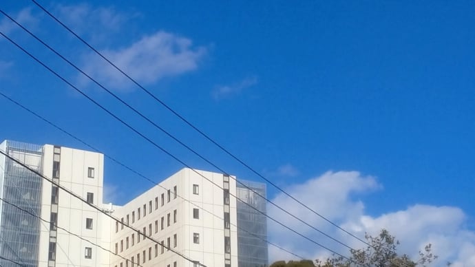 いい天気だねぇ❗これぐらいやって欲しいもんですね🤣🤣✌️✌️
