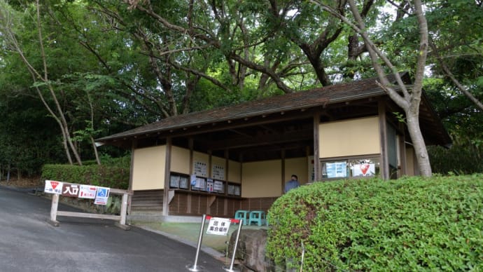 袋井市 可睡ゆりの園~3年ぶりの満開の百合の撮影