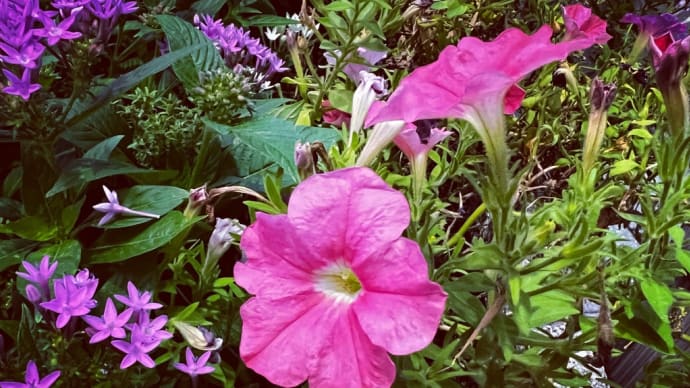 Happy weekend 🌸☘️😊🎶