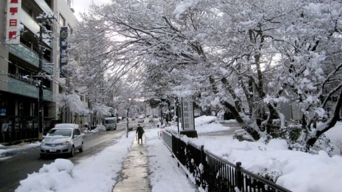 雪が積もる中を盛岡八幡宮北口まで歩いて来た。