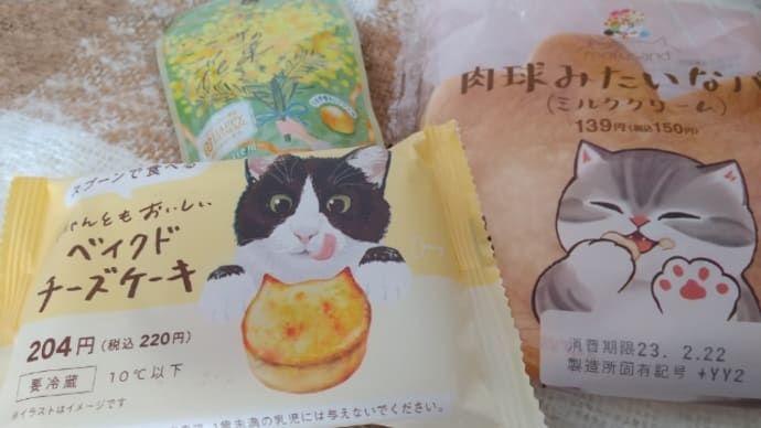 にゃーにゃーにゃー🎶