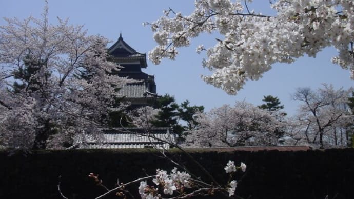 口語短歌と写真で綴る「世界文化紀行」週間まとめ2022年4月11日～4月16日