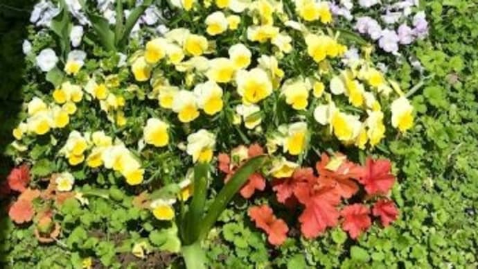 花とこいのぼりとパン