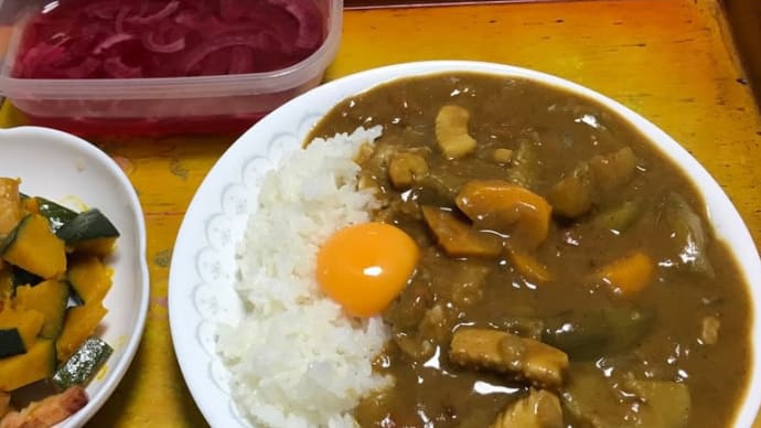 水ナス入りカレー