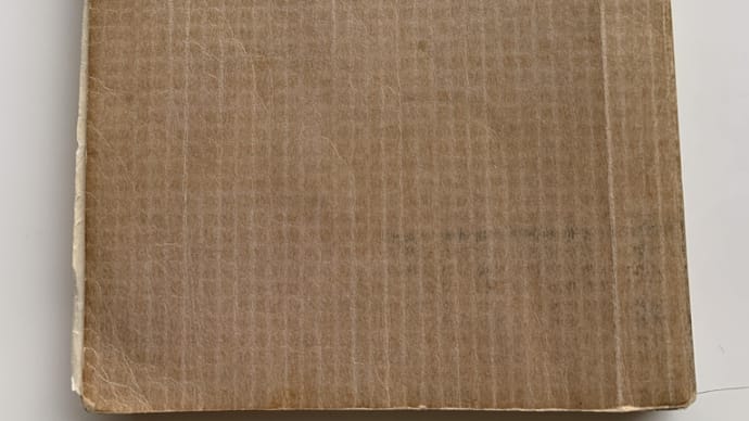 私は、守られるべき存在です。