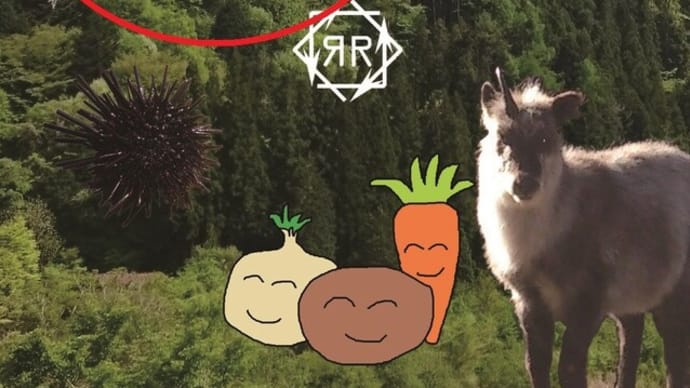 「さぎ草」とはなんぞや?という話