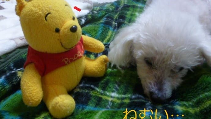 今日も秋晴れで2度咲きの金木犀…w( ̄▽ ̄;)wワオッ!! そして台風のたまご?