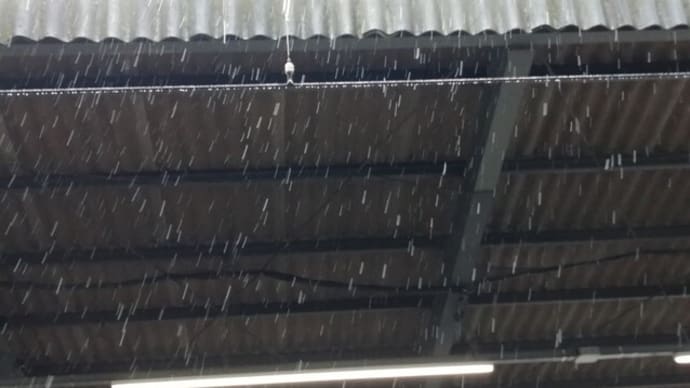 3月の雪と電力需給ひっ迫警報に思う