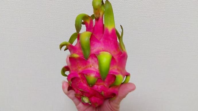 ドラゴンフルーツ