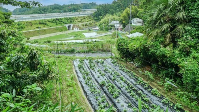 茨木隠れキリシタンの里