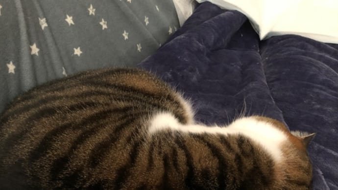 ある意味ミルクのおかげで のんびり休日