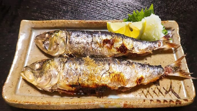 イワシの塩焼き ~節分に食べ損ねた人に鰯をお薦めする~
