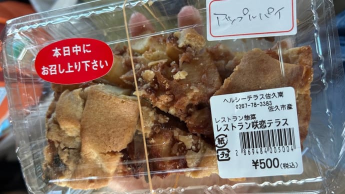 道の駅ヘルシーテラス佐久南➰愛犬と車旅・長野編①