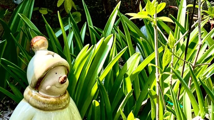 夏日のような陽だまりで、小さな庭の作業