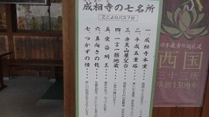 丹後方面カニ歩きツアー7