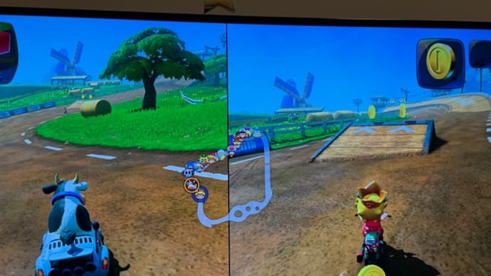 新!?マリオカート