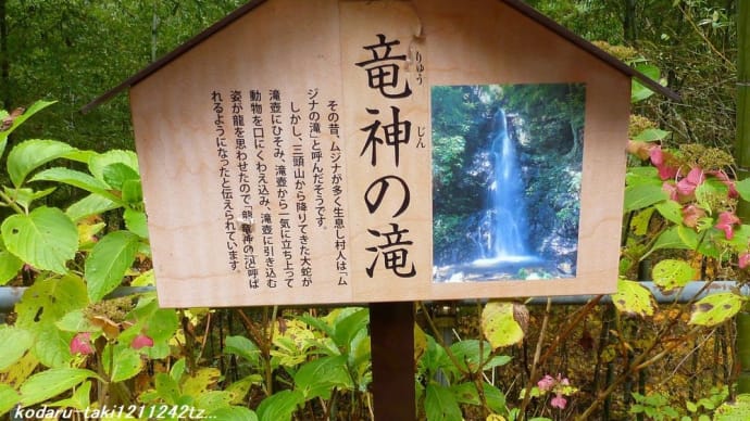 東京都檜原村 竜神の滝
