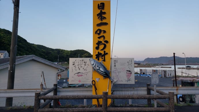 アオリイカ釣り🦑