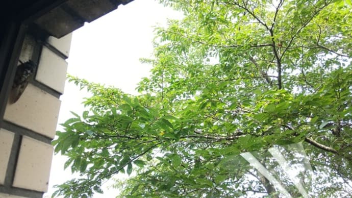 災害対策