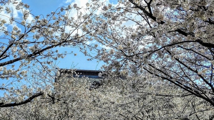 北鎌倉春の寺巡り🌸建長寺①