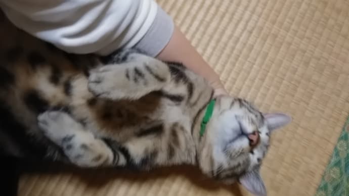 いつも引用ごめんなさい