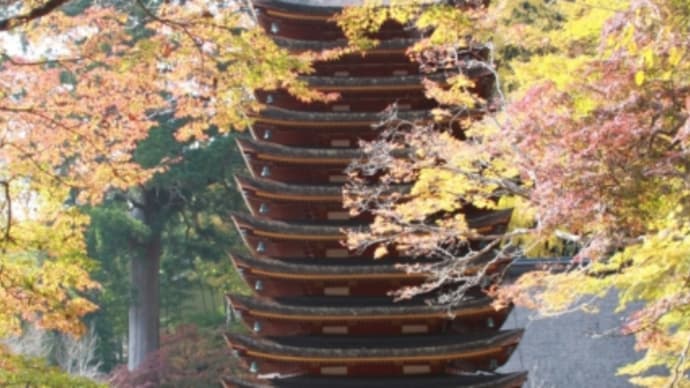 談山神社の紅葉🍁