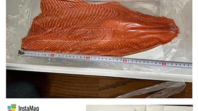 44cm!1.22kg!のサーモンが来た!(゚ロ゚)