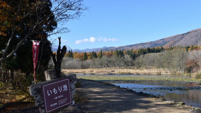 もみじ狩り 新潟県妙高山周辺 ぶらっと妙高山麓(5)信濃富士:黒姫山 しゃみせん:妙高山