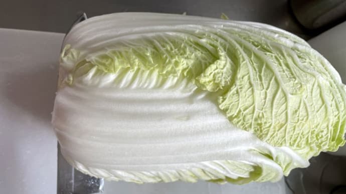 白菜の漬物を作る