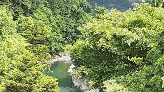 大人の遠足・・・額縁の私の散歩道