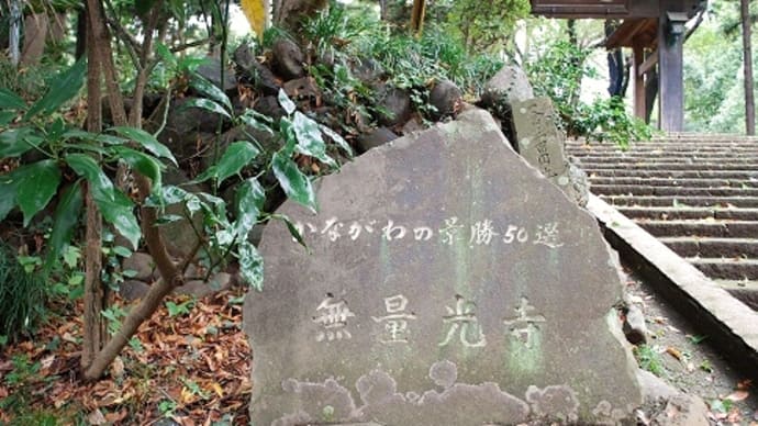 つぶやき#1774 無量光寺