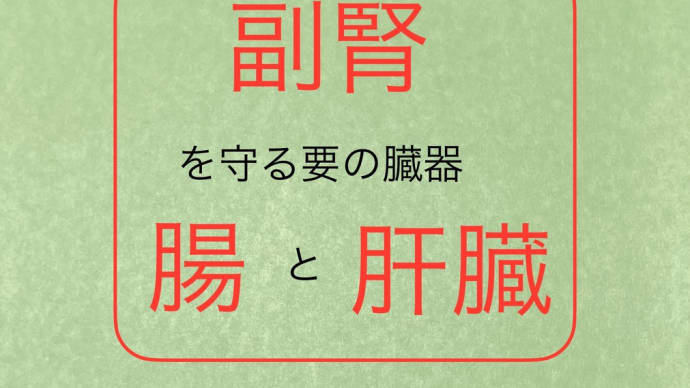 副腎を守る