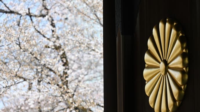 桜日和