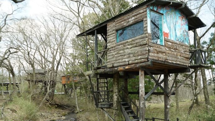 山林の活用について