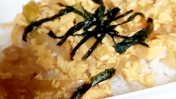 カツ丼🐷