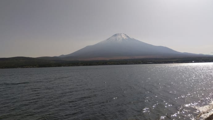 リサのGW🐶　富士山を見に行く旅③　山中湖へ😄