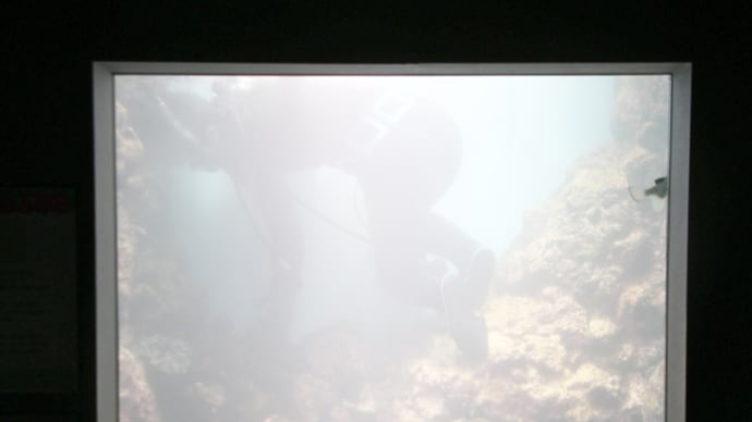 すごい 魚そのままで掃除をしています