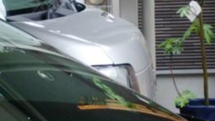 車の音に敏感ね