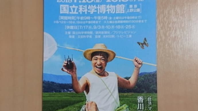 【蝶日記】特別展「昆虫」
