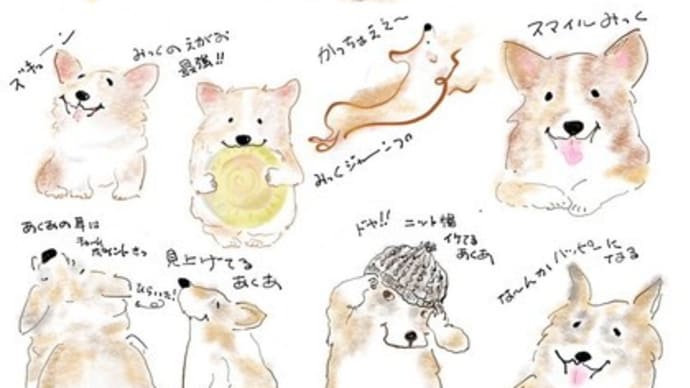 メイさんのイラスト