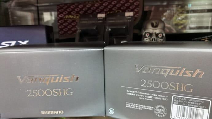 ヴァンキッシュ2500SDH