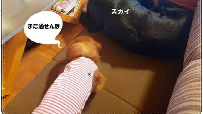 方向転換