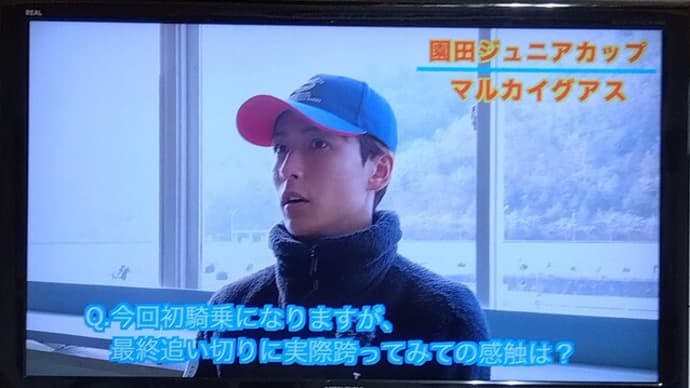 大晦日の園田競馬。