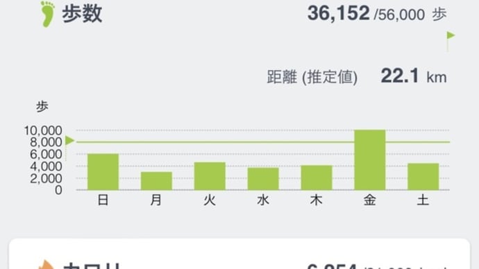 先週の活動量2/12〜2/18