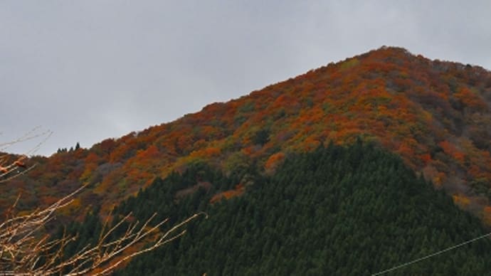 29号線 紅葉の旅