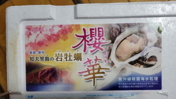 知夫里島の岩牡蠣