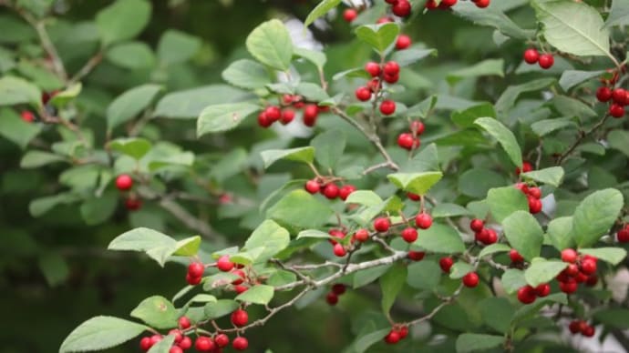 9月は肌寒い日でスタート