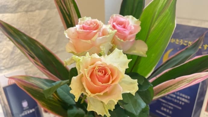 今週のお花🌸
