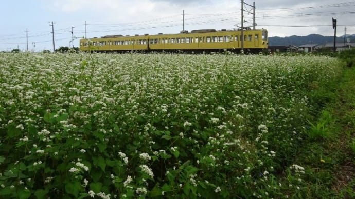 ドクターイエローと近江鉄道